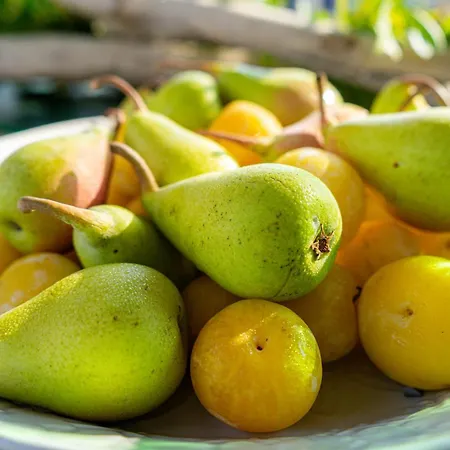 Bio Salos Κατάλυμα σε φάρμα