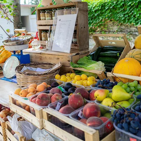 Bio Salos Κατάλυμα σε φάρμα Alimini