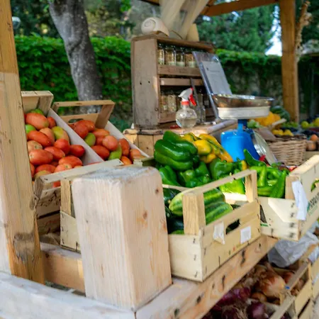Bio Salos Farm stay *
