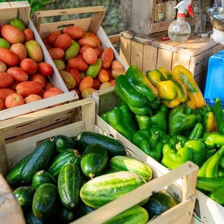 Bio Salos Farm stay